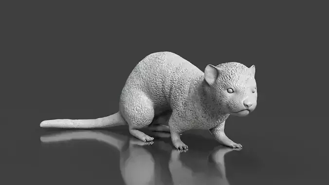Zoo Realism Toy Ferret 3D Model STL