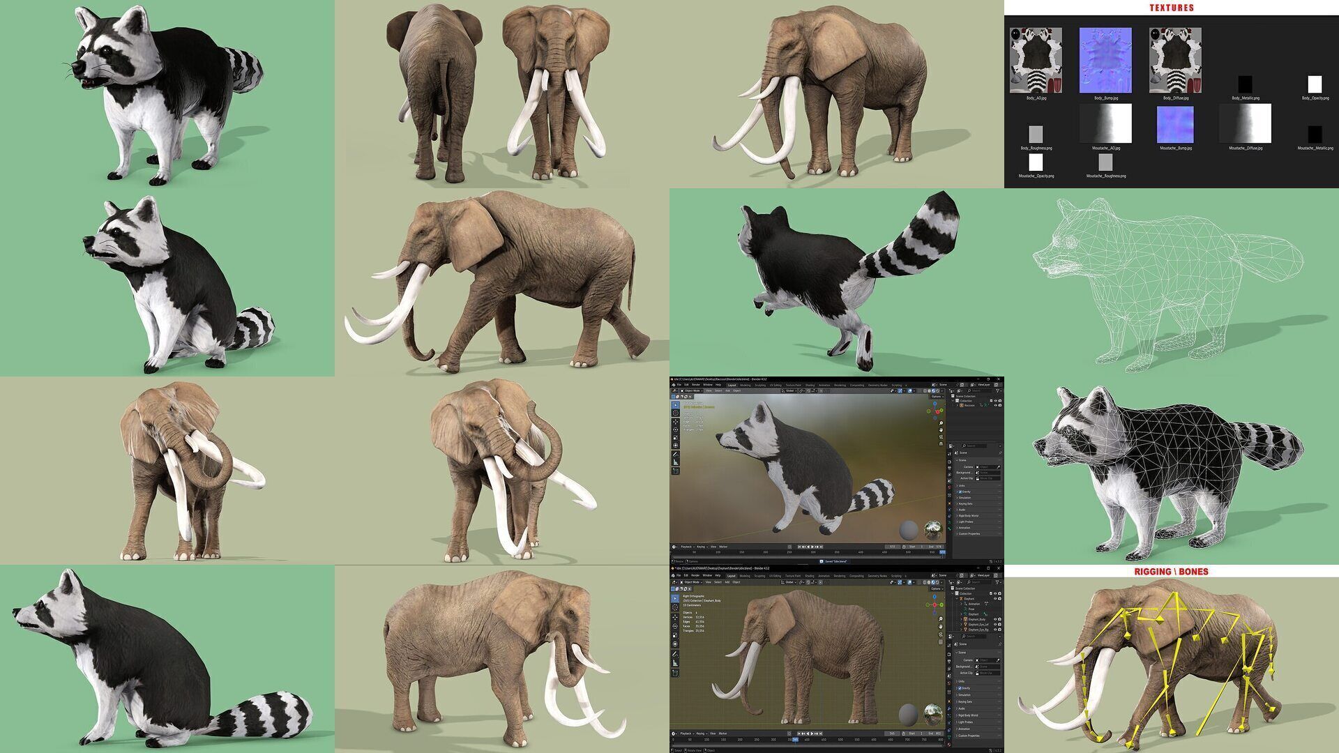18 SAFARI ANIMALS RIGGED ANIMATED BUNDLE 3D Model Collection_11