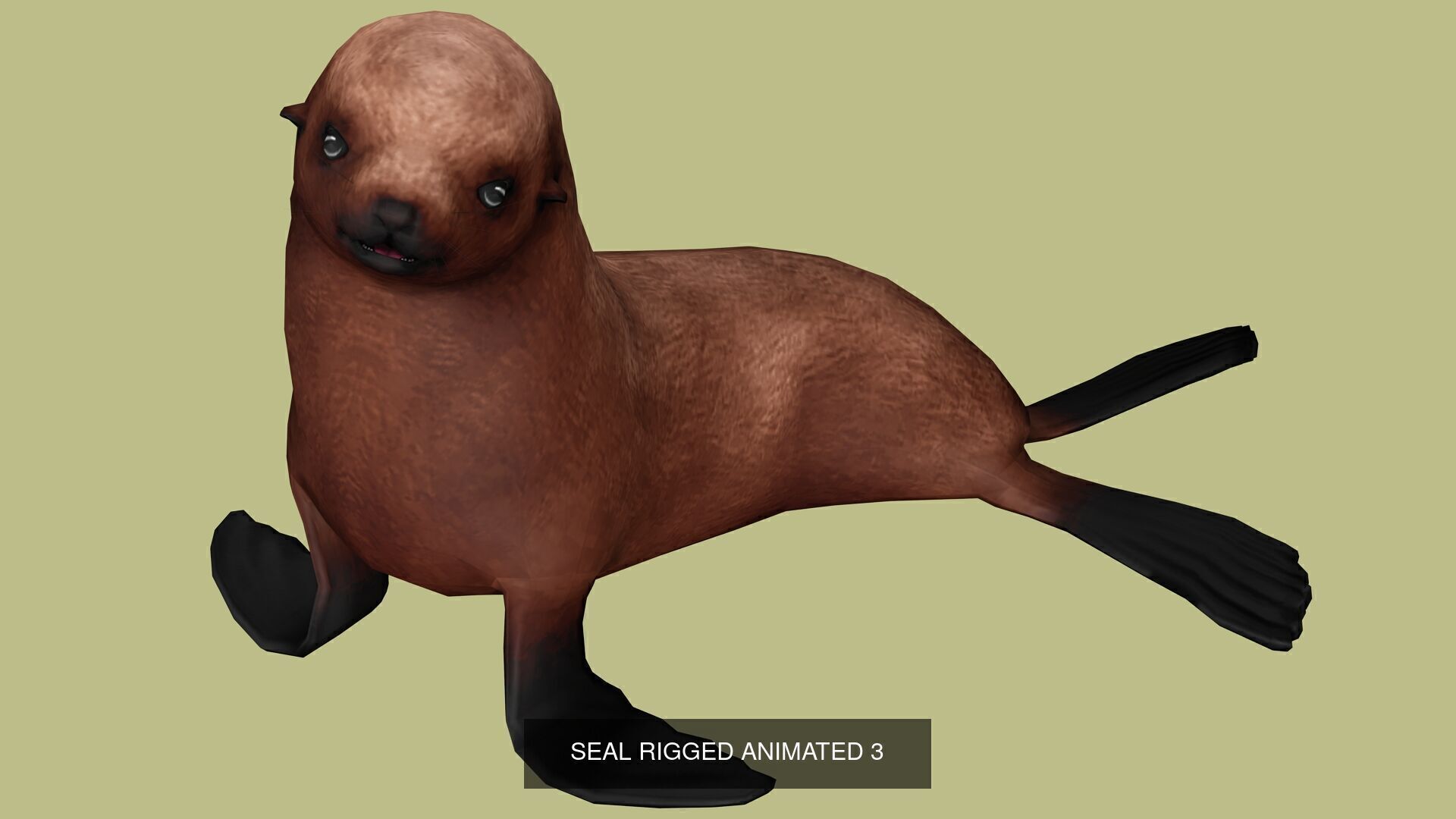 18 SAFARI ANIMALS RIGGED ANIMATED BUNDLE 3D Model Collection_30