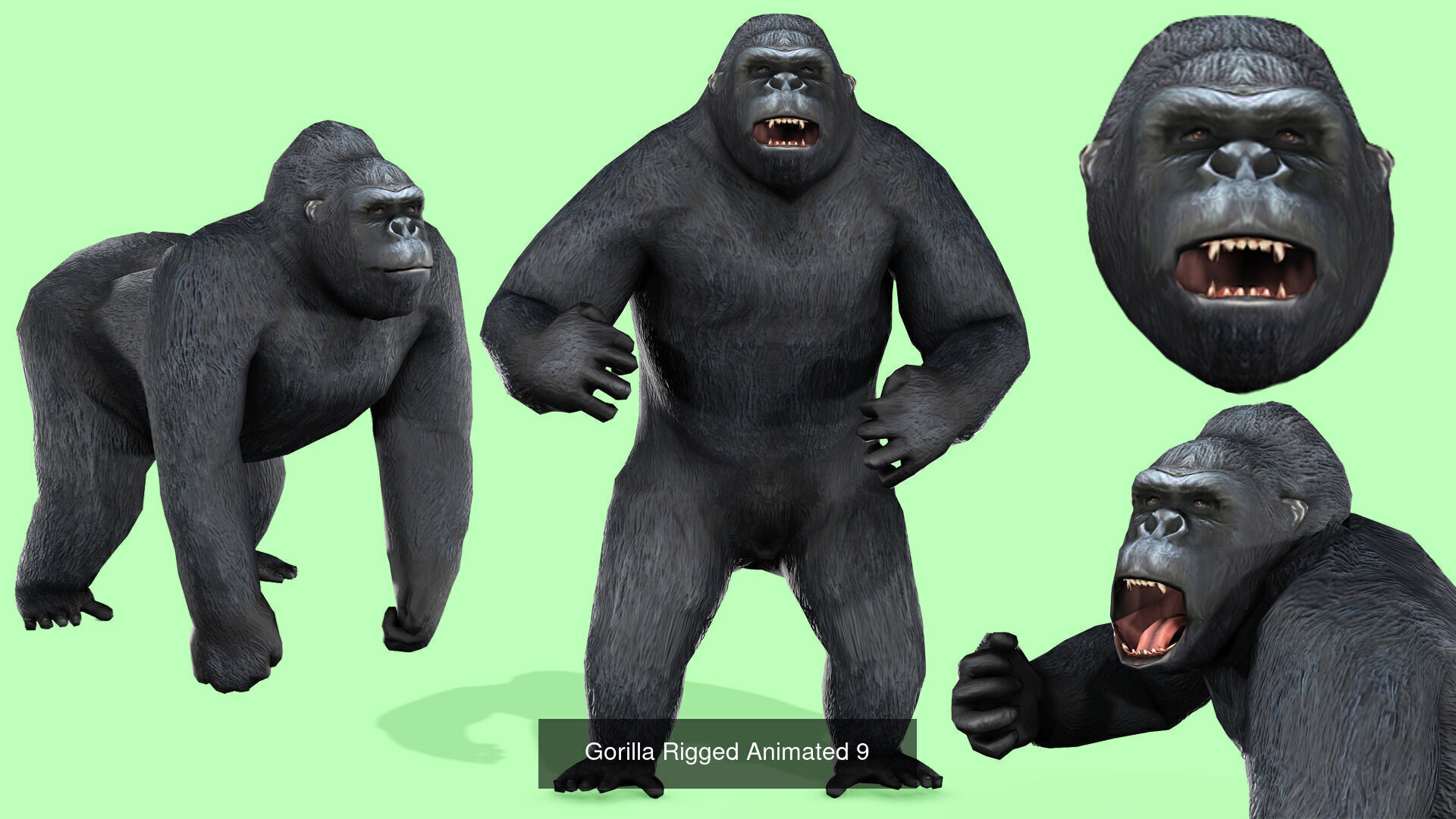 18 SAFARI ANIMALS RIGGED ANIMATED BUNDLE 3D Model Collection_17