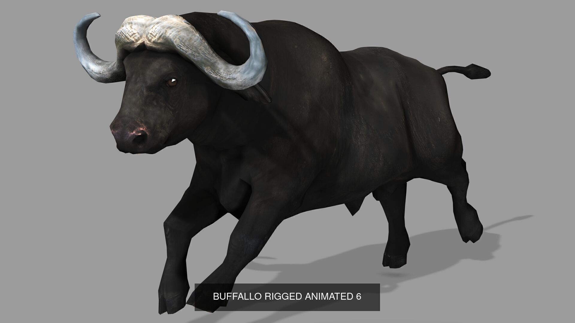 18 SAFARI ANIMALS RIGGED ANIMATED BUNDLE 3D Model Collection_24