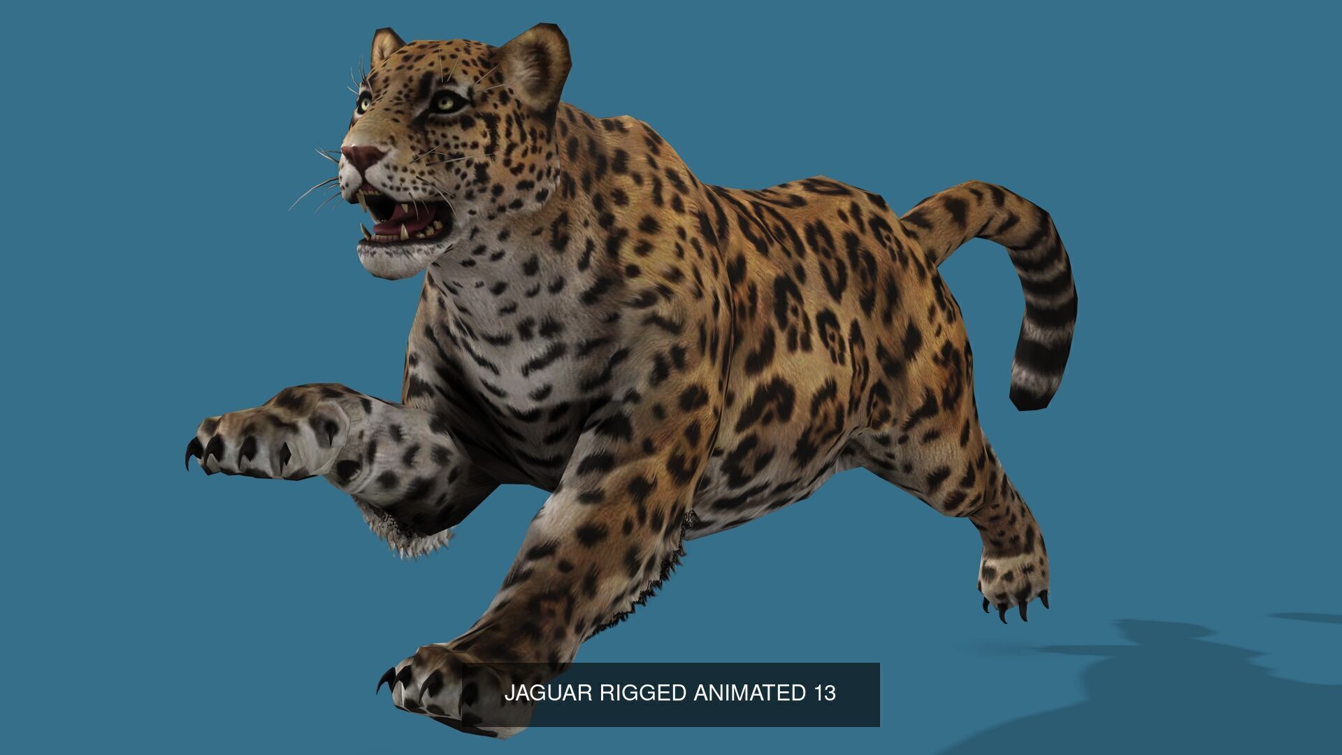 18 SAFARI ANIMALS RIGGED ANIMATED BUNDLE 3D Model Collection_16