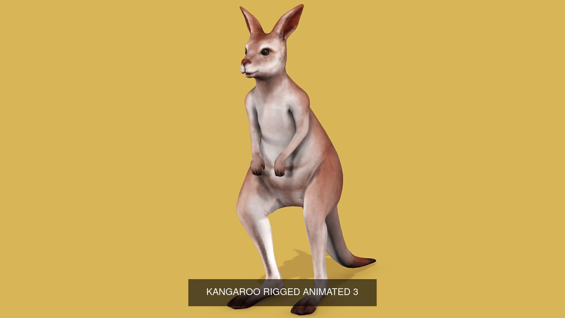 18 SAFARI ANIMALS RIGGED ANIMATED BUNDLE 3D Model Collection_28