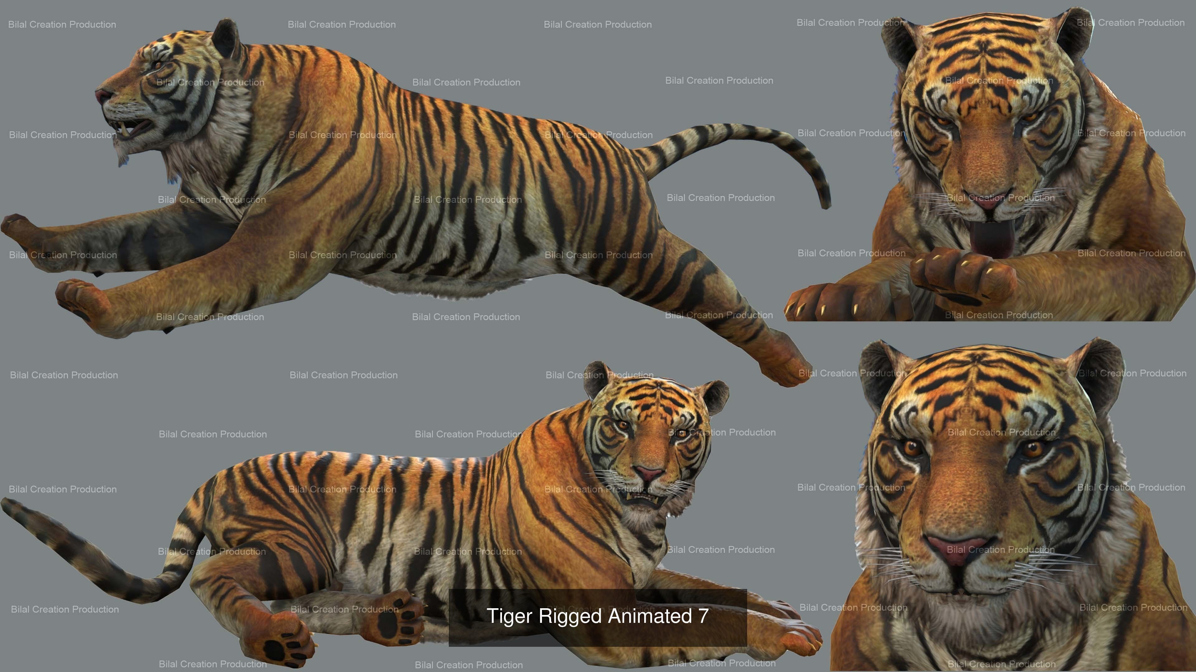 18 SAFARI ANIMALS RIGGED ANIMATED BUNDLE 3D Model Collection_14