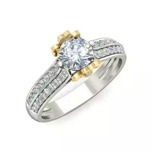 Women Ring  Render 3dm STL OBJ FBX Details