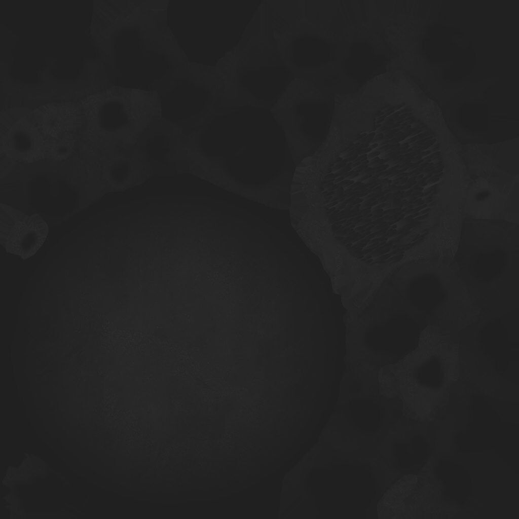 The Witch of a Thousand Blades 3d model for use Low-poly 3D model_39