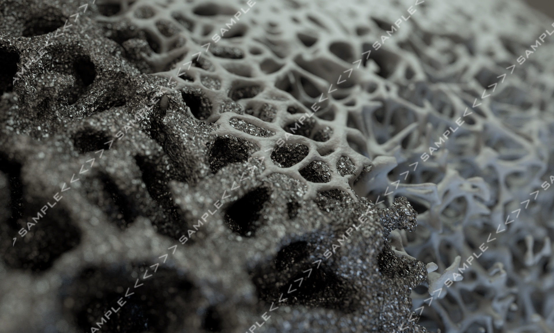 Bone structure and nanomaterial 3D model_17