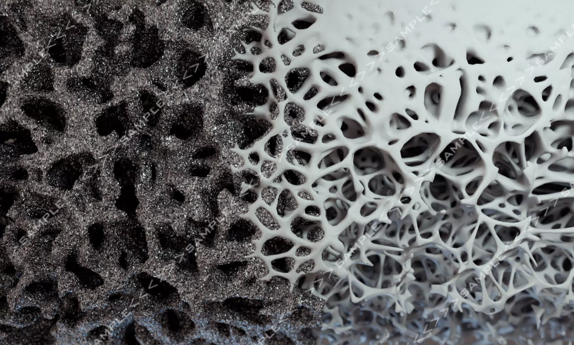 Bone structure and nanomaterial 3D model_0