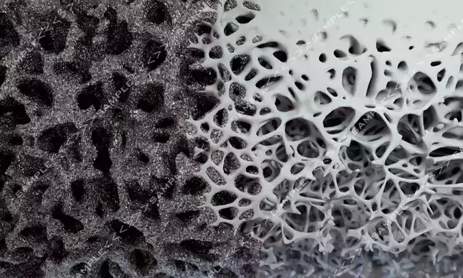 Bone structure and nanomaterial 3D model