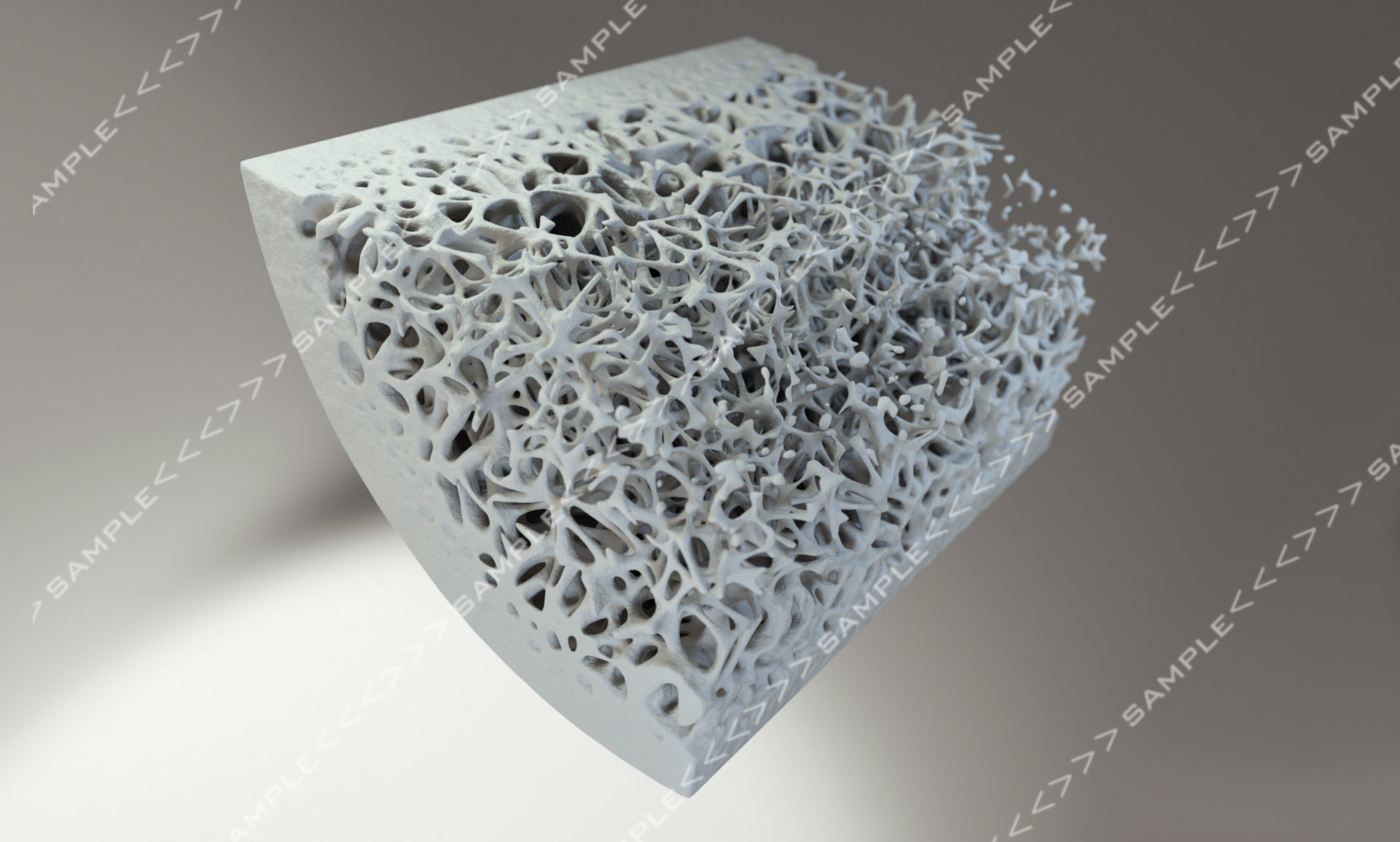 Bone structure and nanomaterial 3D model_9
