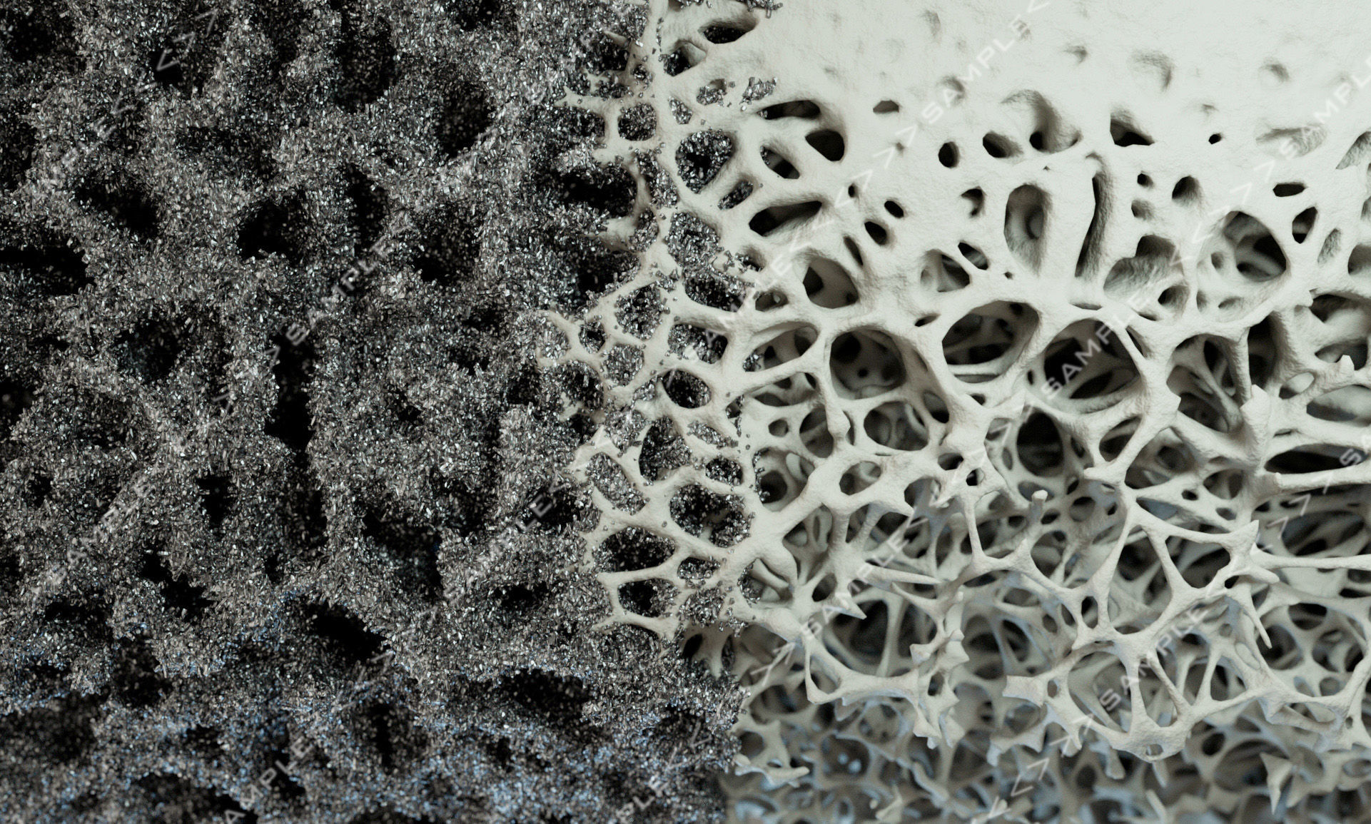 Bone structure and nanomaterial 3D model_3