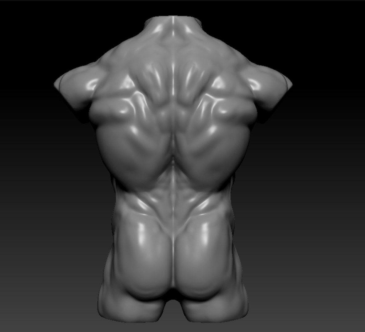 torso 3D model_3