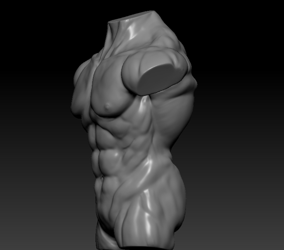 torso 3D model_2