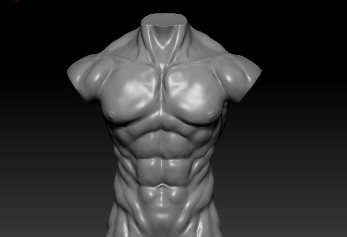 torso 3D model_0