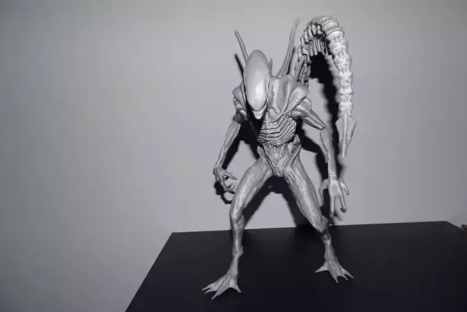 Alien xhenomorph