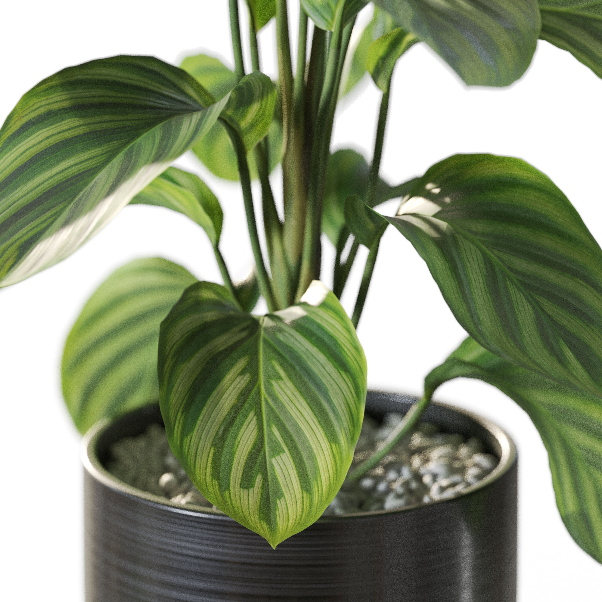 Plant 1231 3D model_2