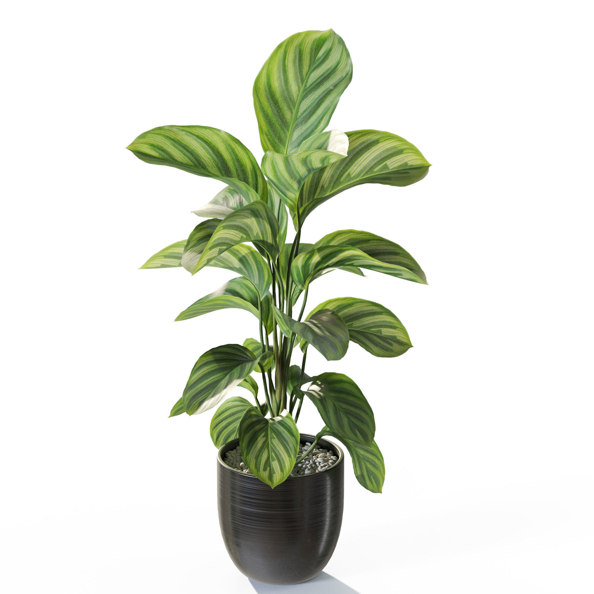 Plant 1231 3D model_3