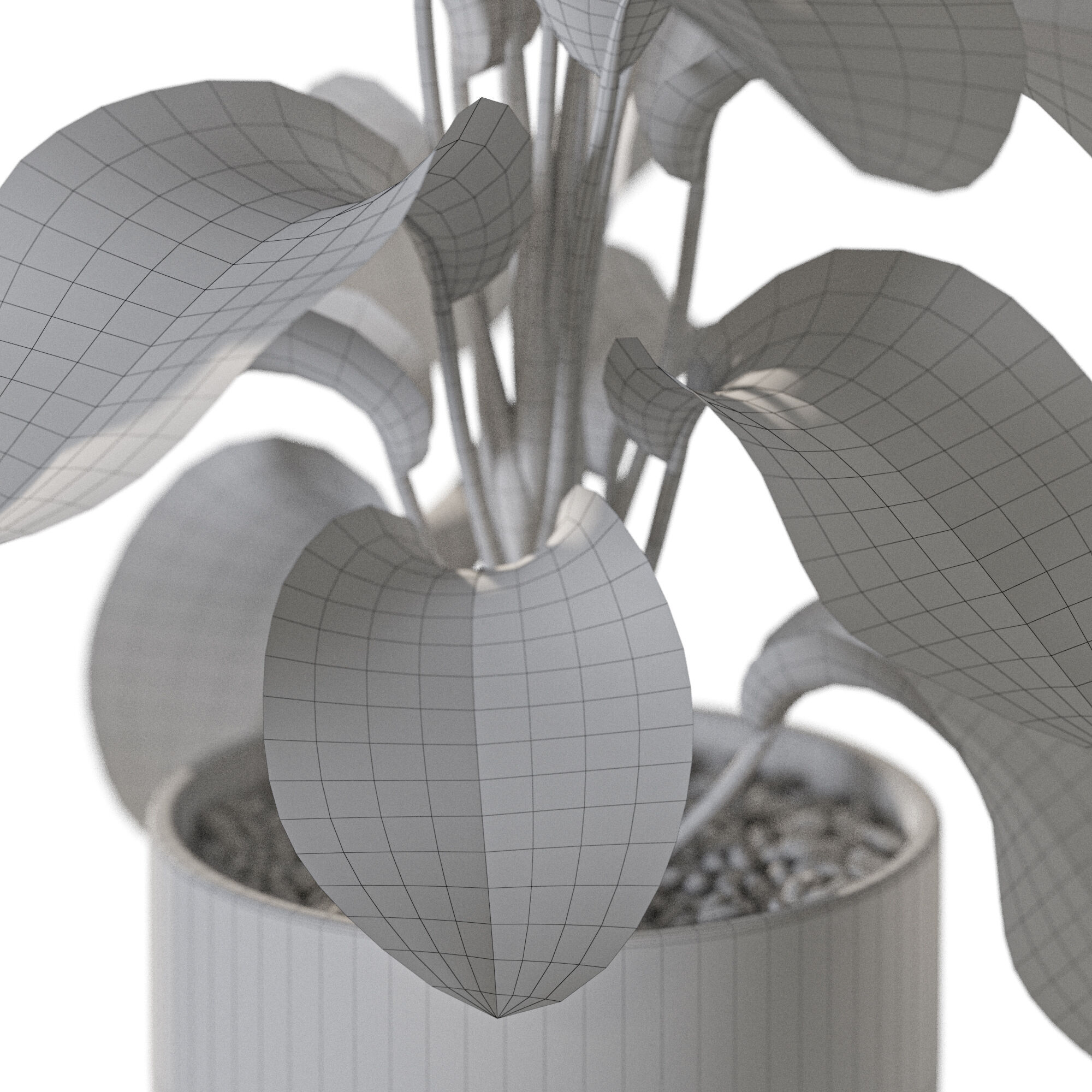Plant 1231 3D model_5