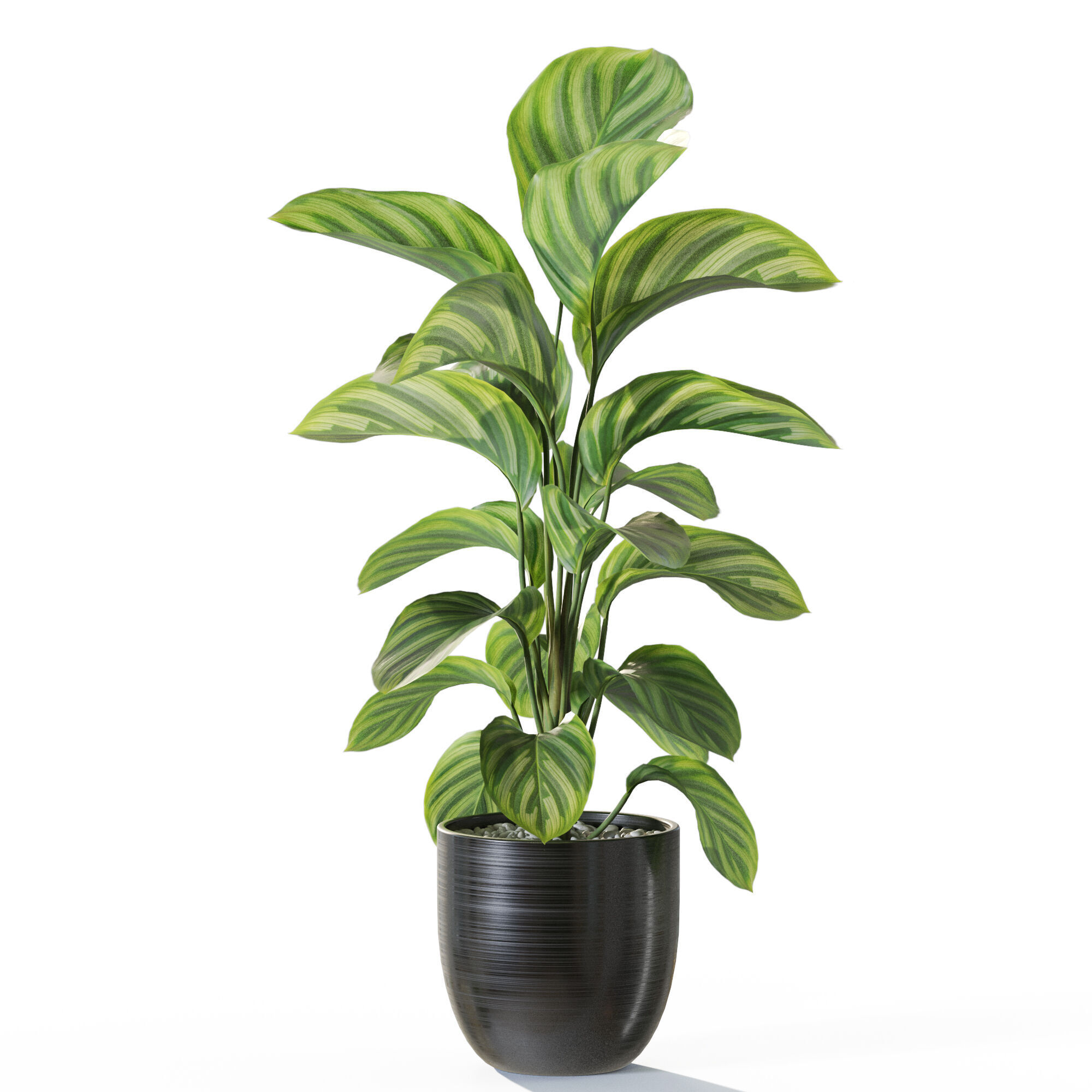 Plant 1231 3D model_1