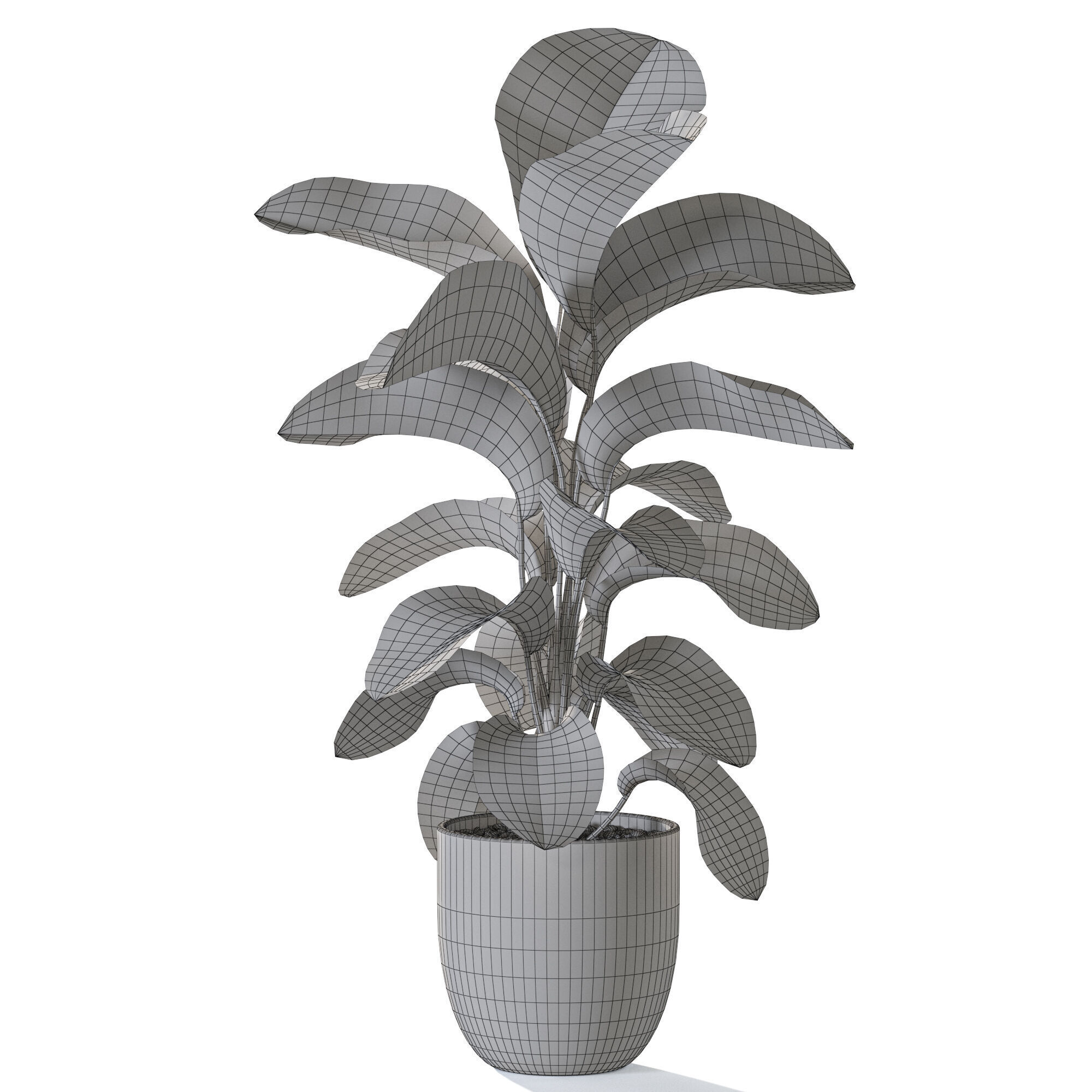 Plant 1231 3D model_4
