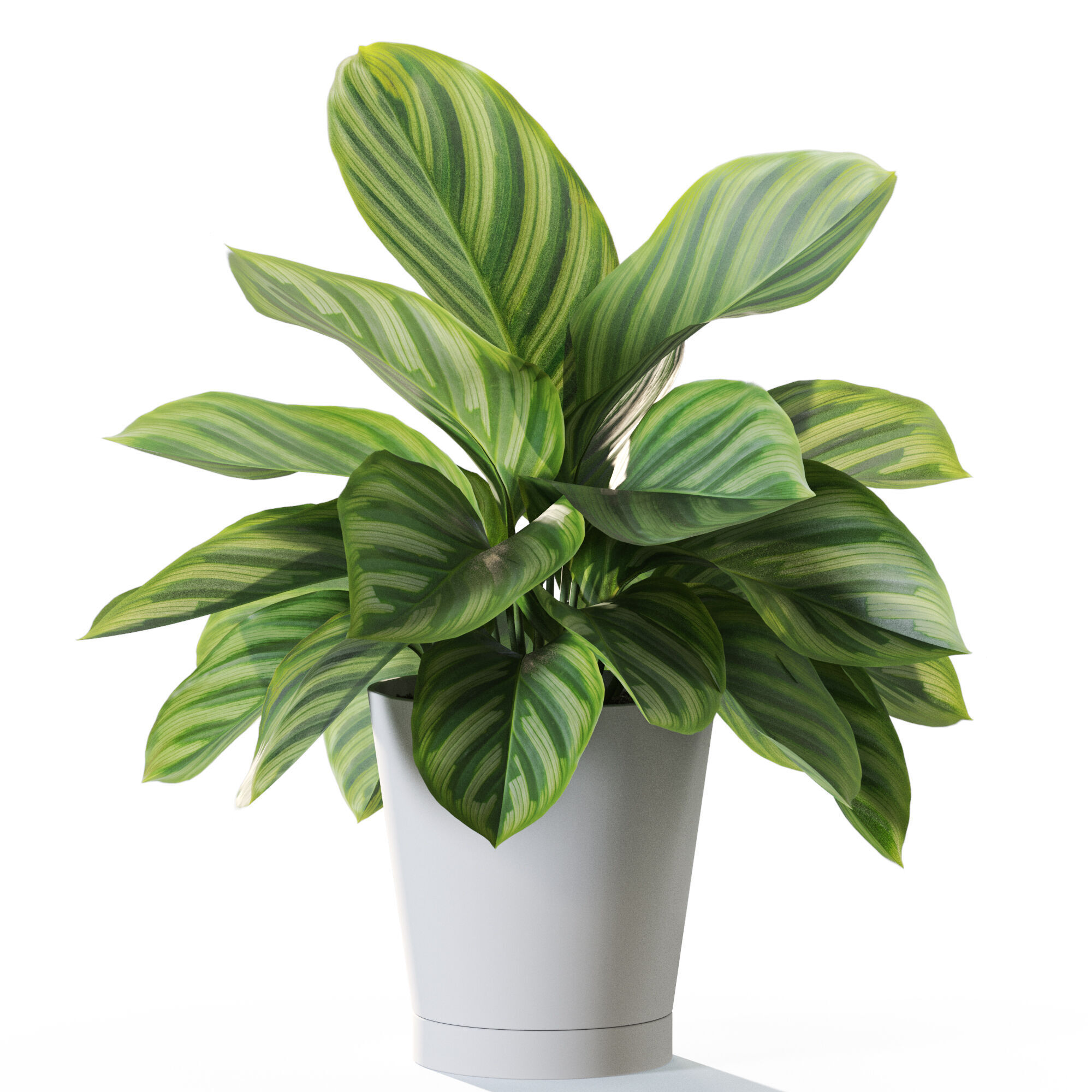 Plant 1232 3D model_1