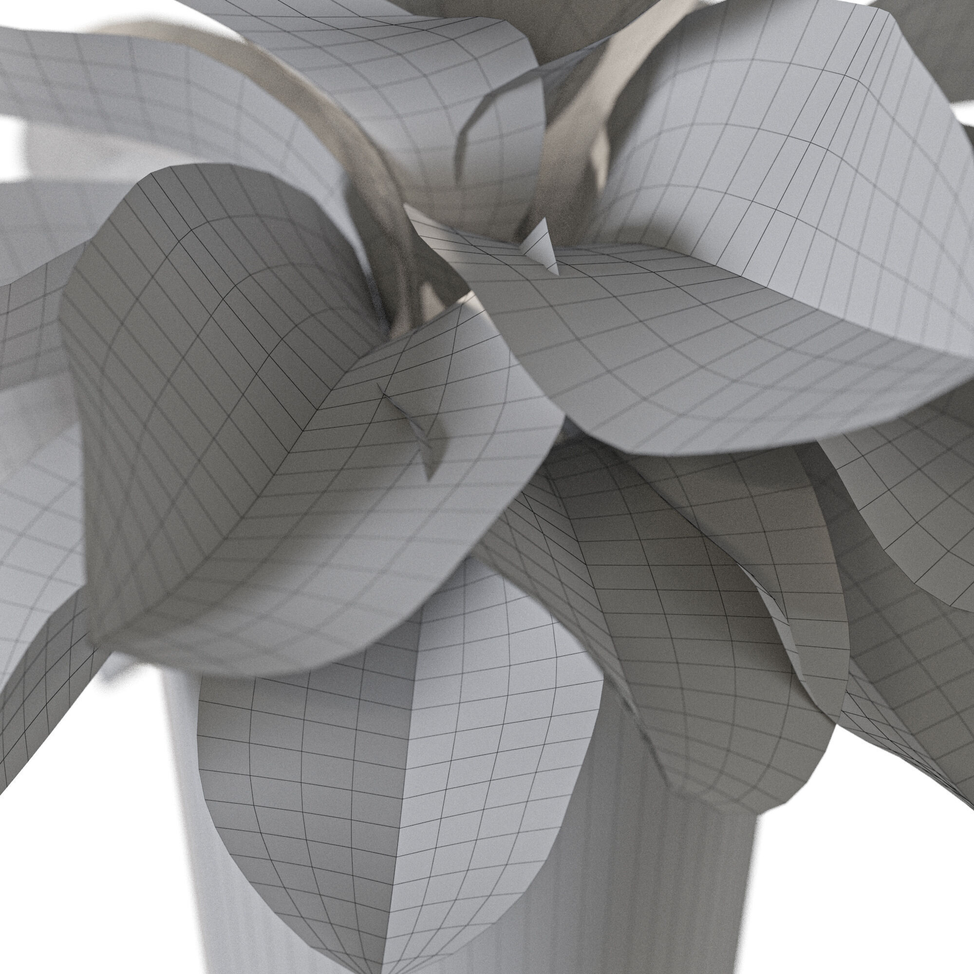 Plant 1232 3D model_5