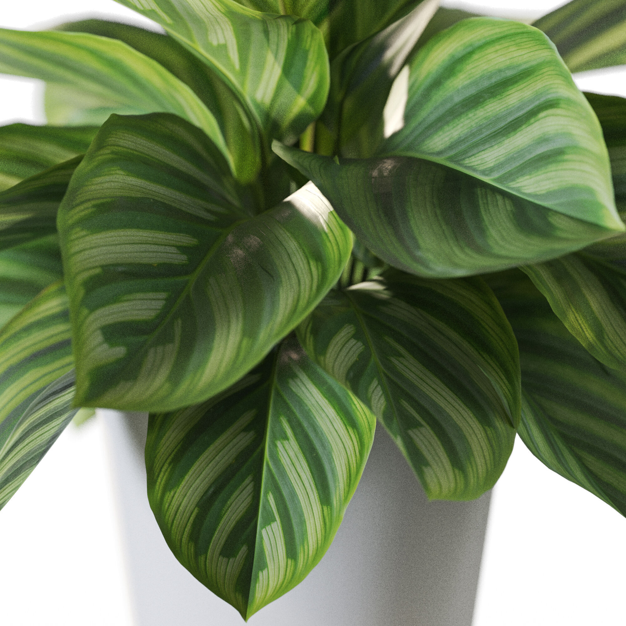 Plant 1232 3D model_2