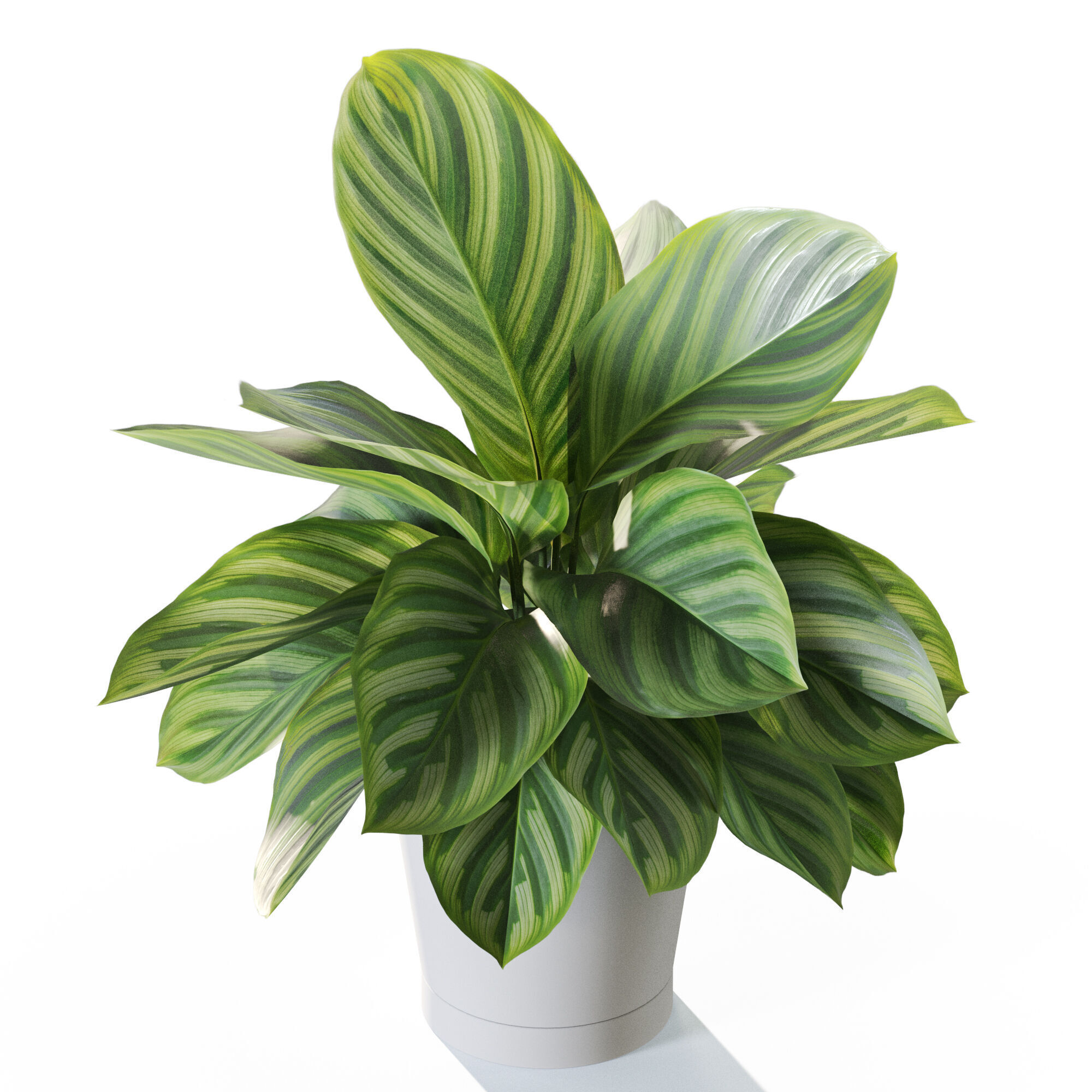 Plant 1232 3D model_3