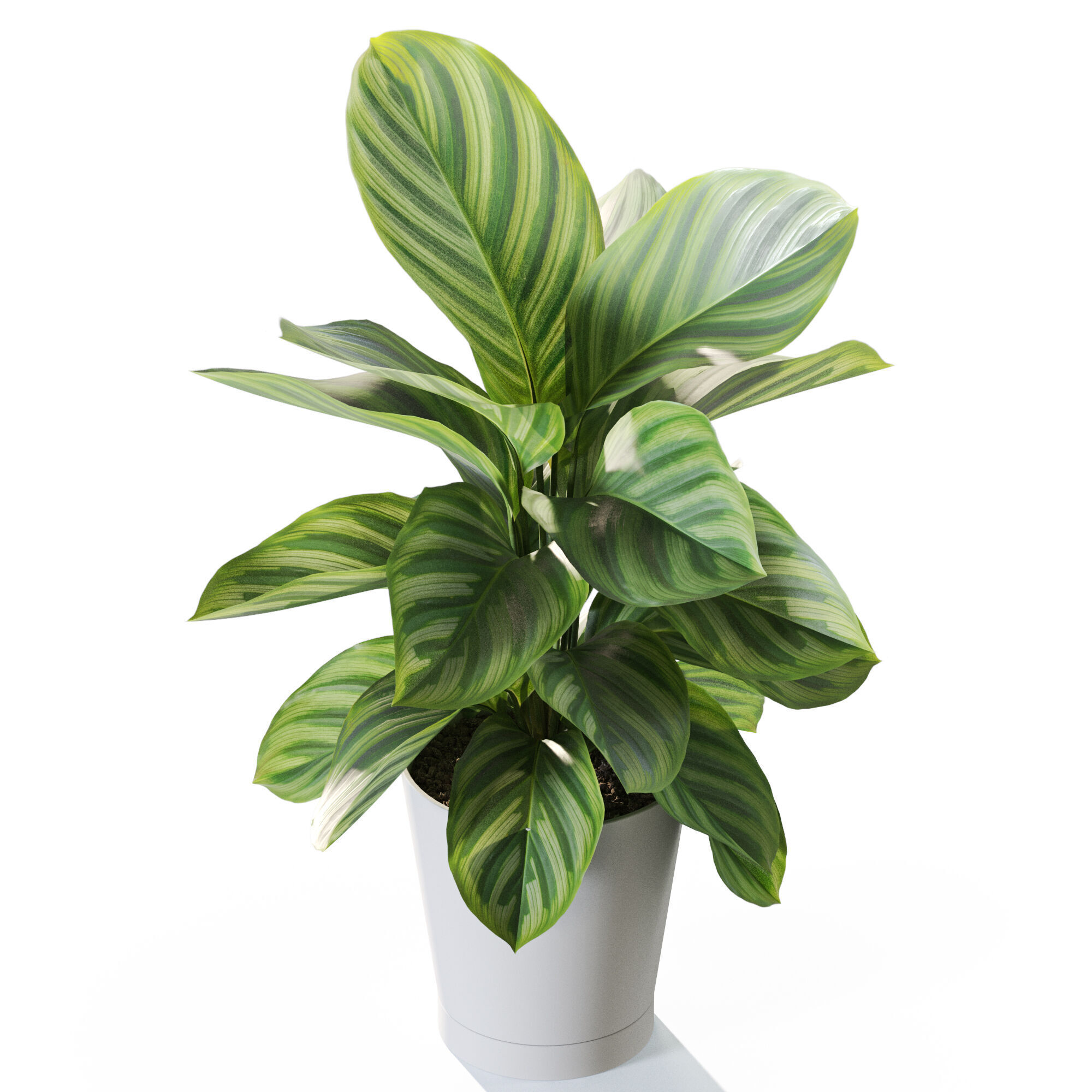 Plant 1233 3D model_3