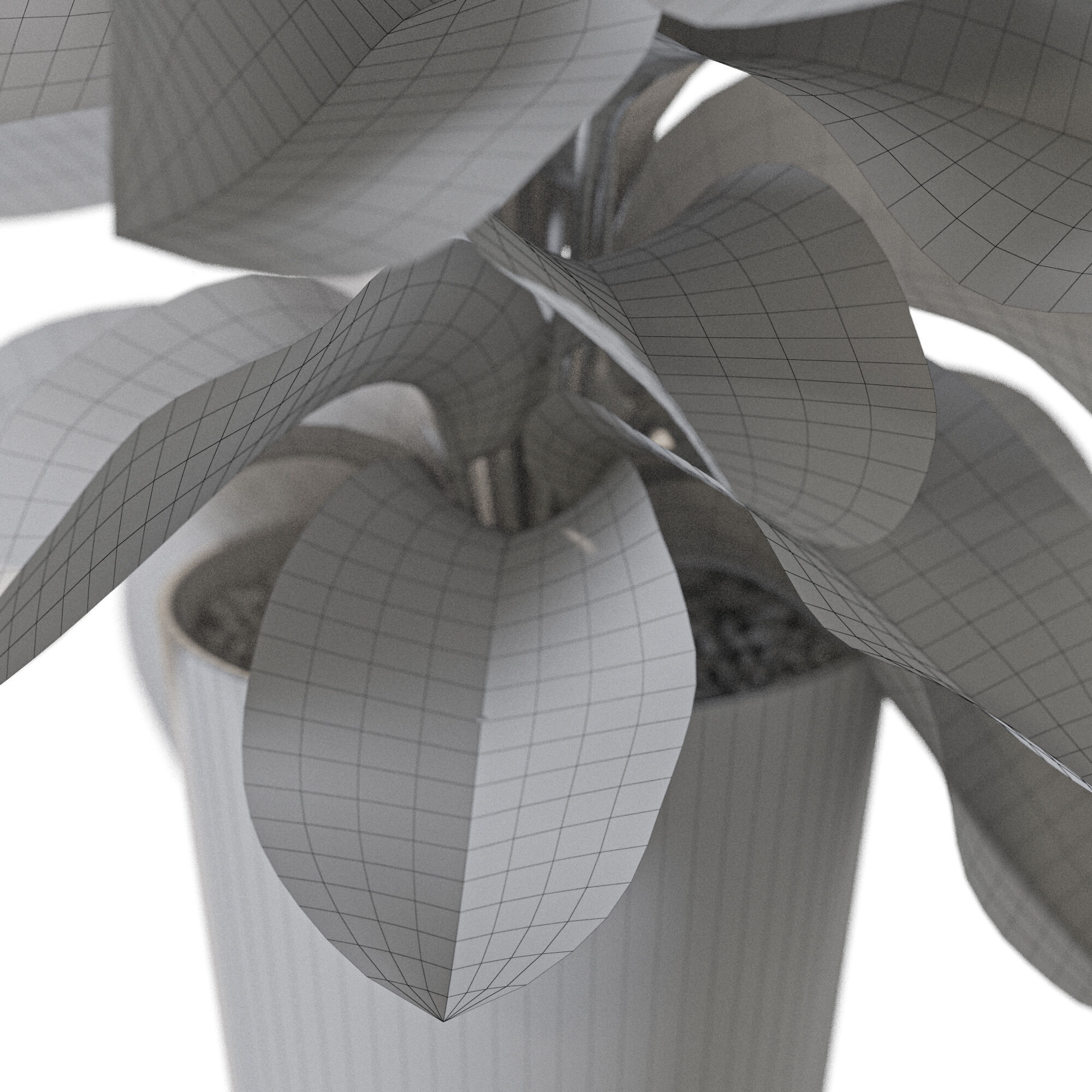 Plant 1233 3D model_5