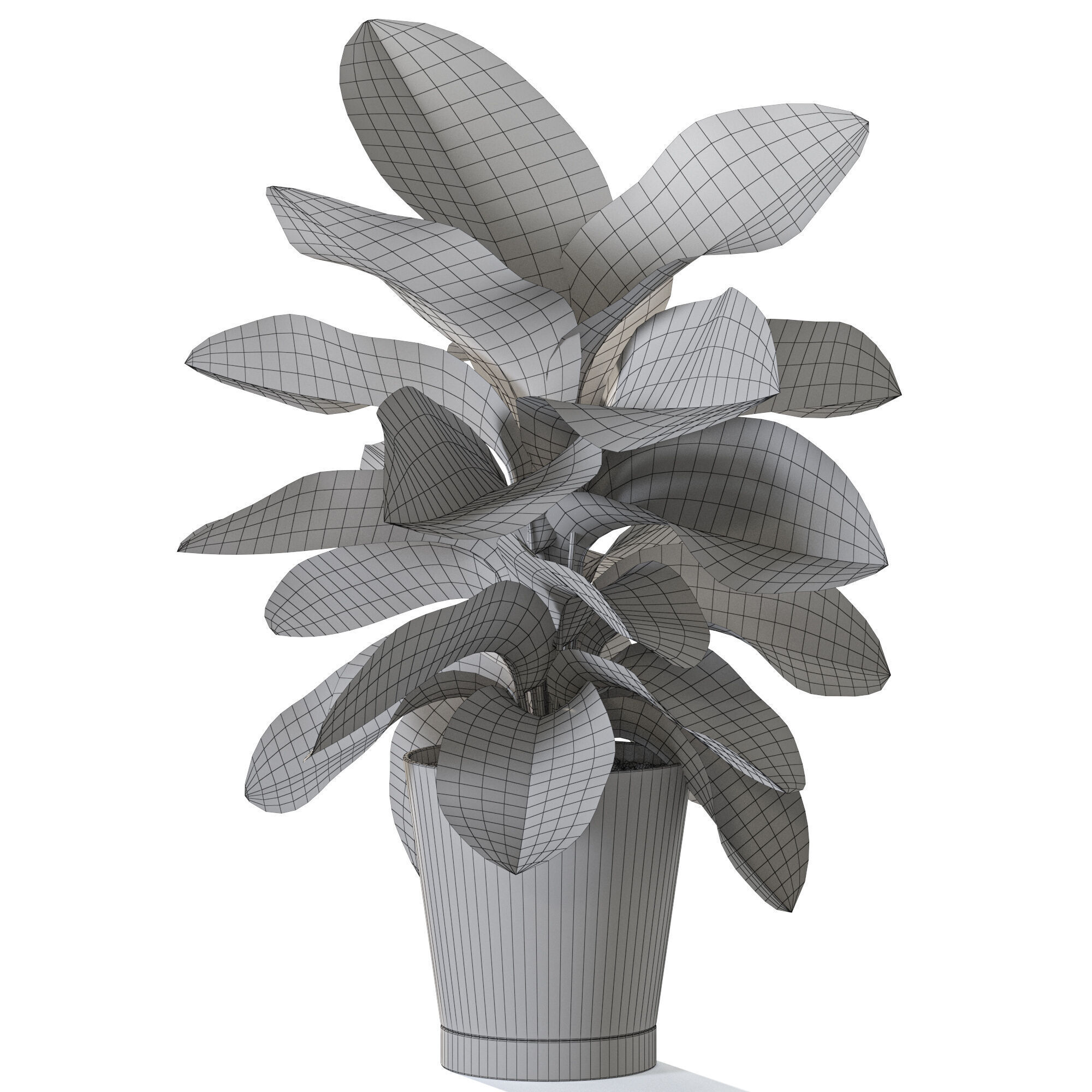 Plant 1233 3D model_4