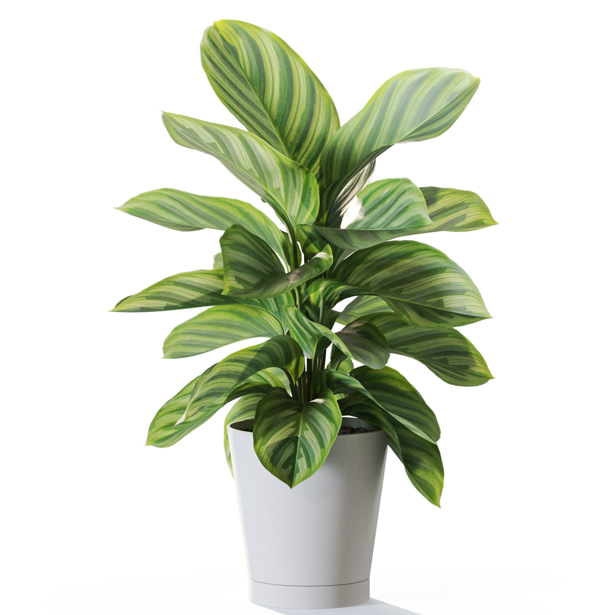 Plant 1233 3D model_1