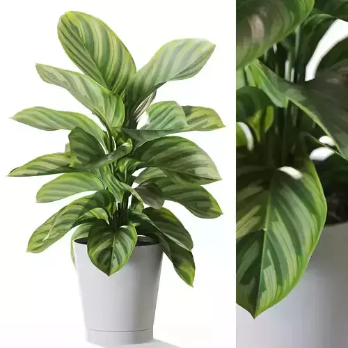 Plant 1233 3D model