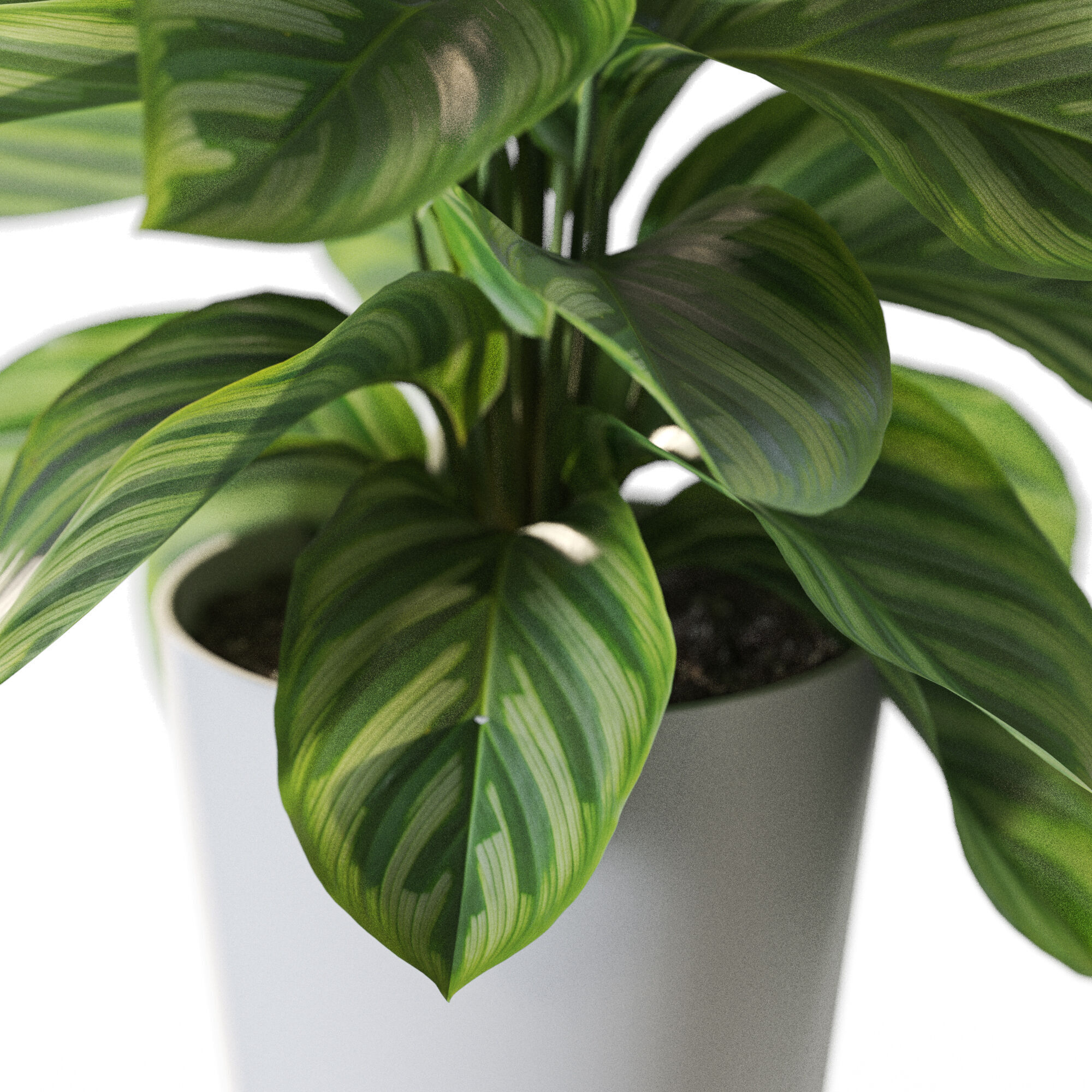 Plant 1233 3D model_2