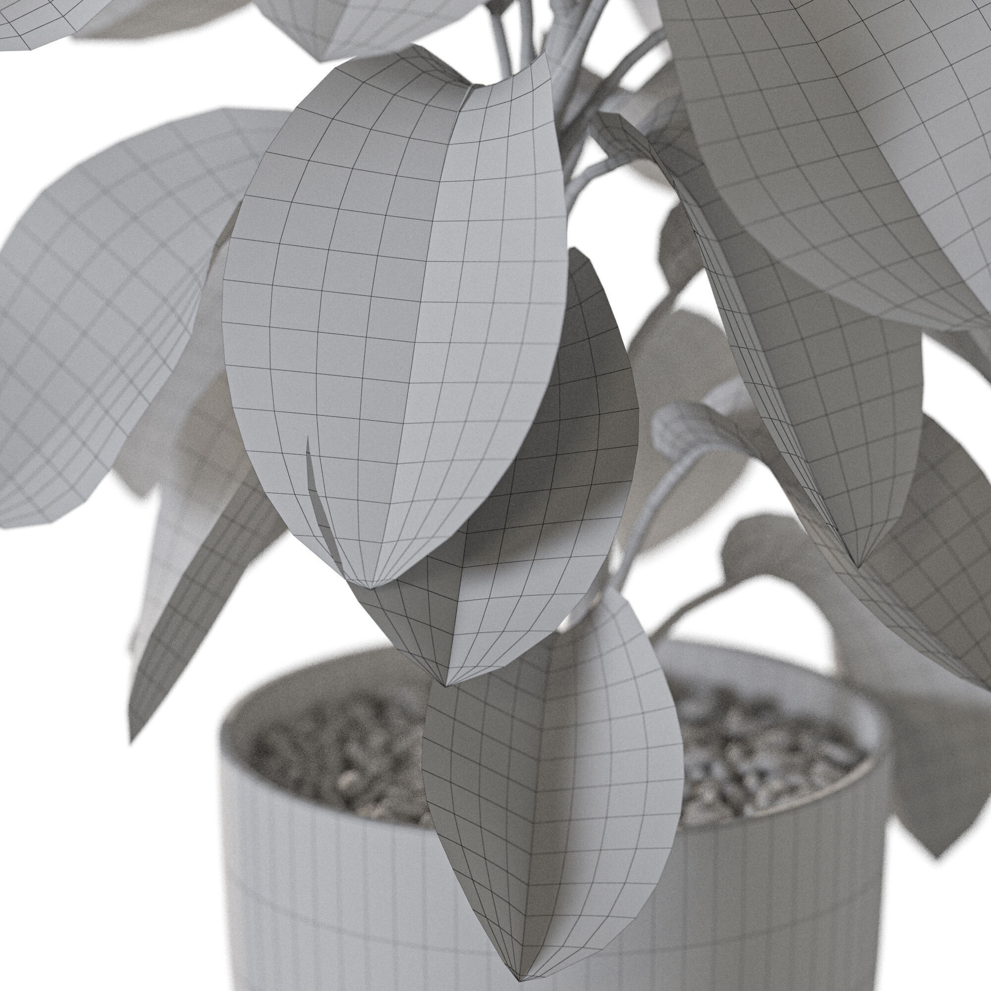 Plant 1234 3D model_5