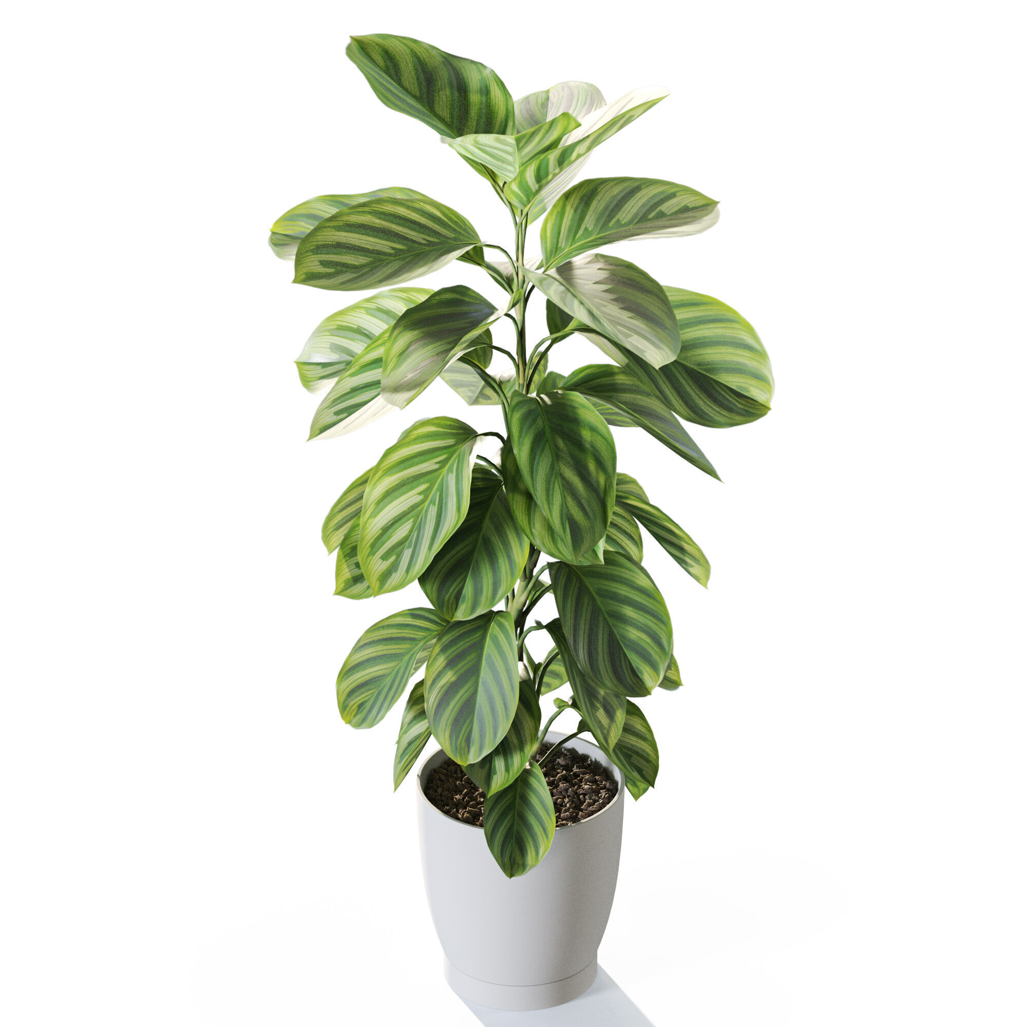 Plant 1234 3D model_3