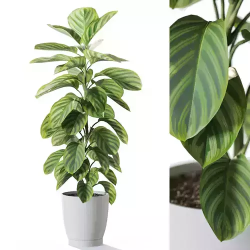 Plant 1234 3D model