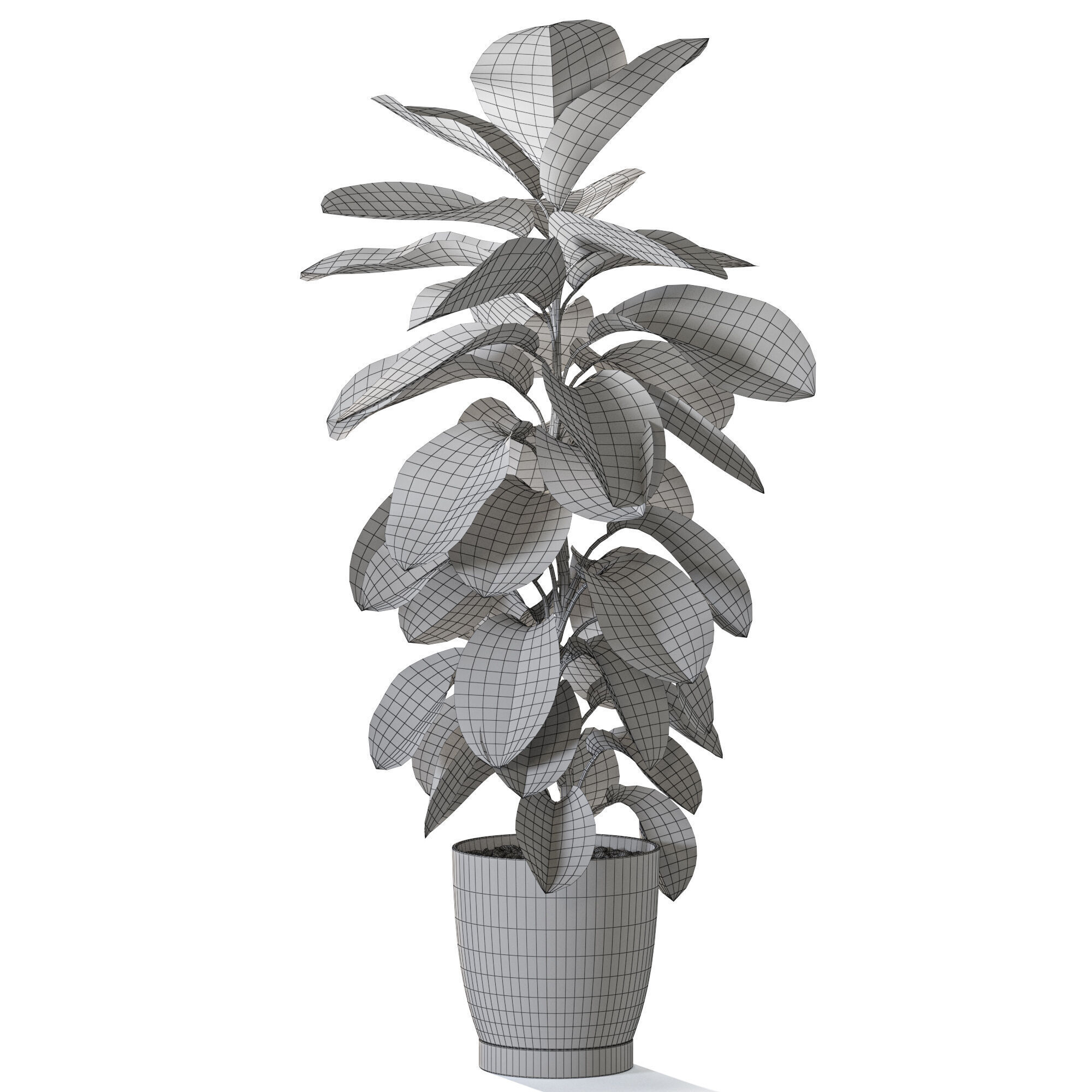 Plant 1234 3D model_4