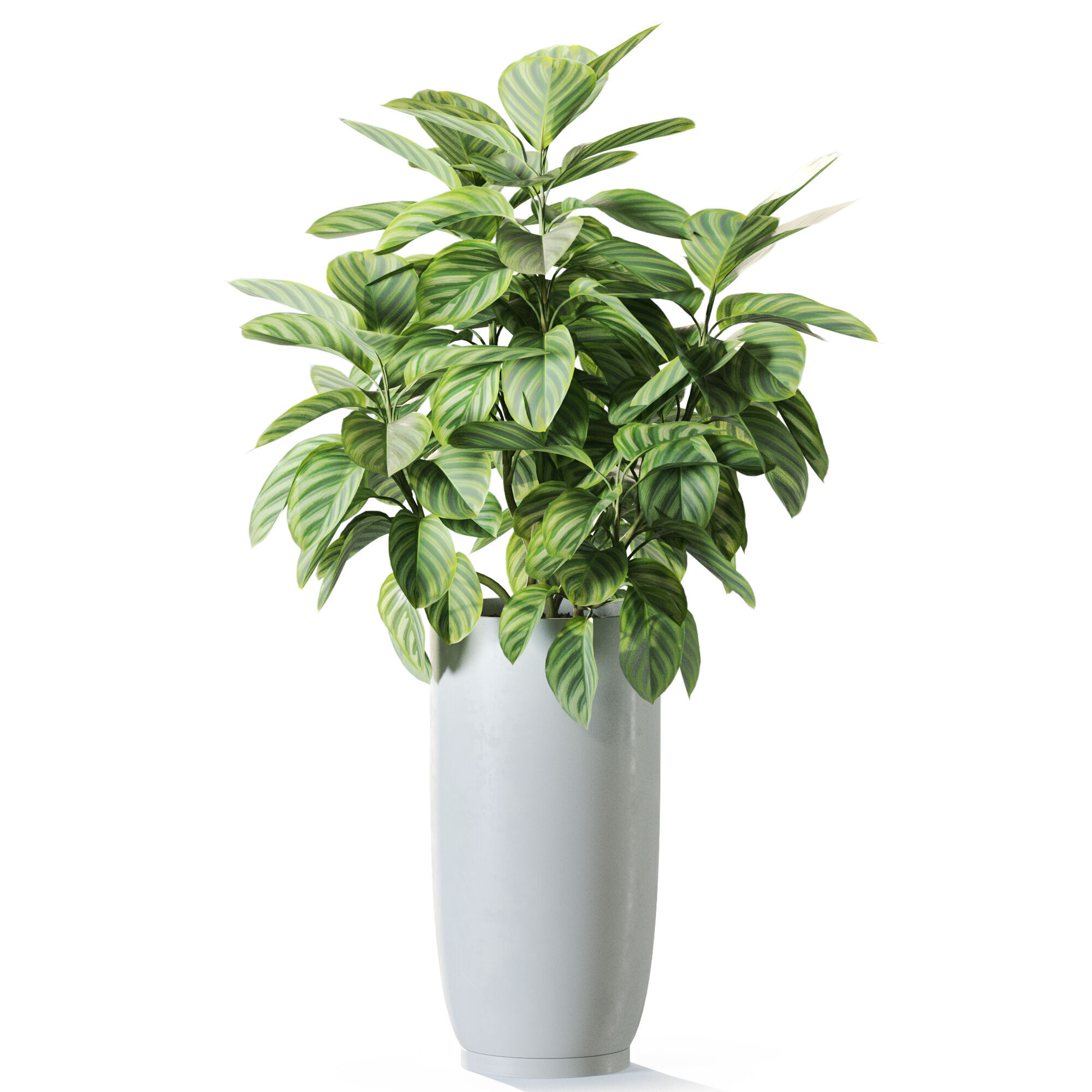 Plant 1235 3D model_1