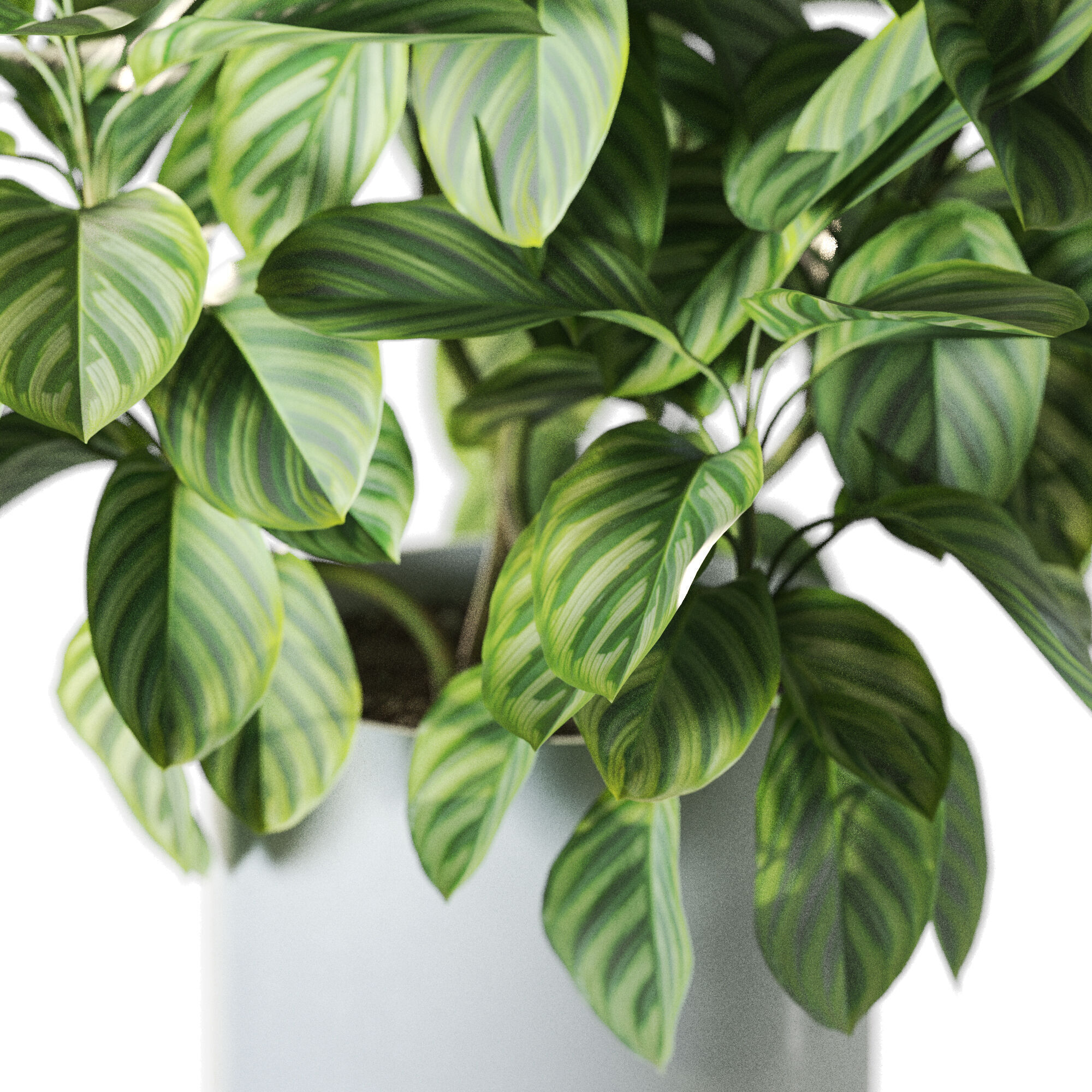 Plant 1235 3D model_2