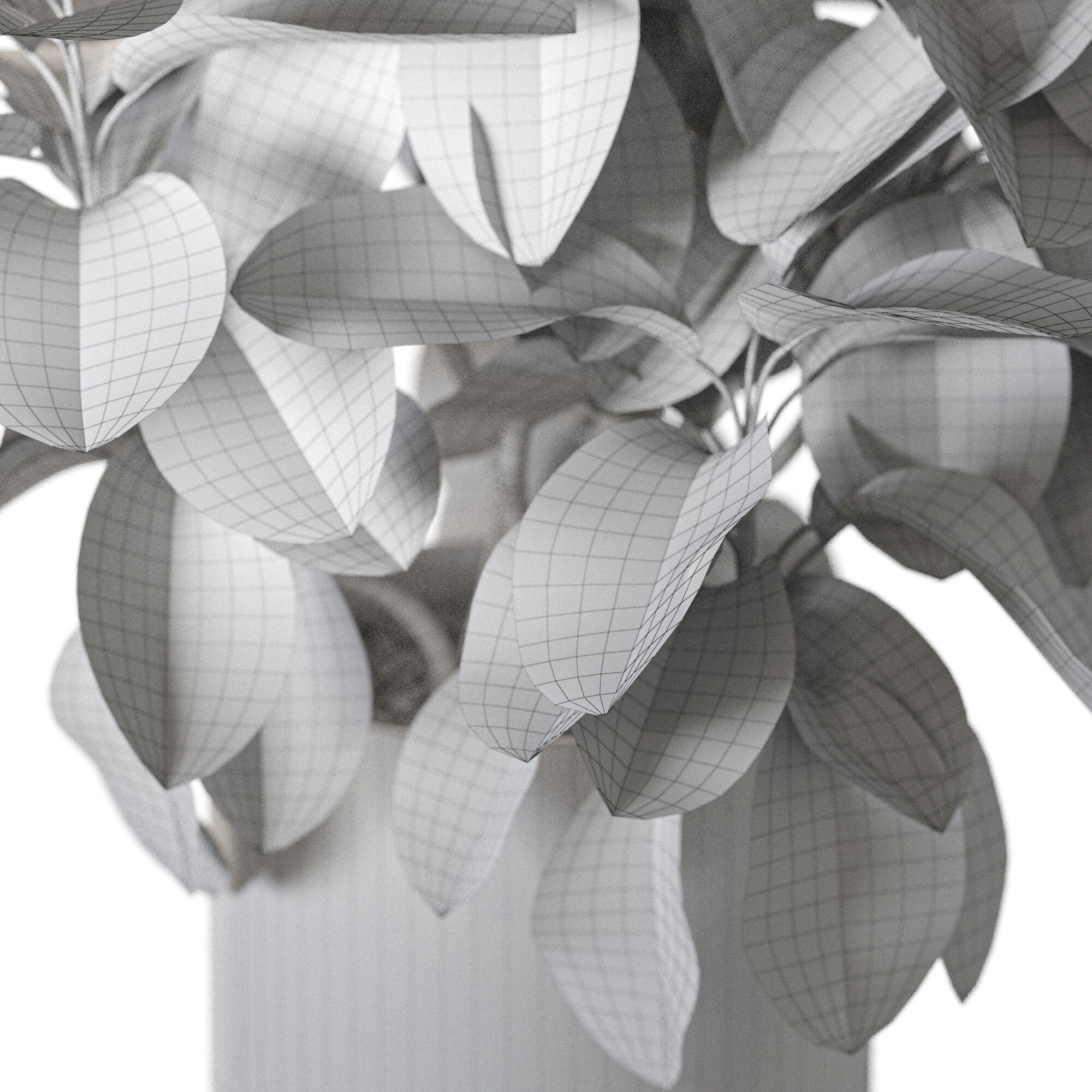 Plant 1235 3D model_5