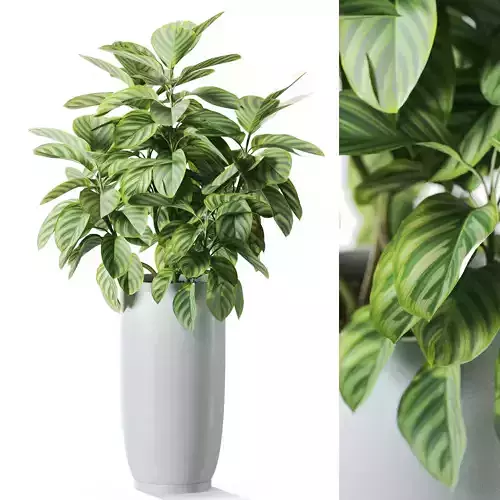 Plant 1235 3D model
