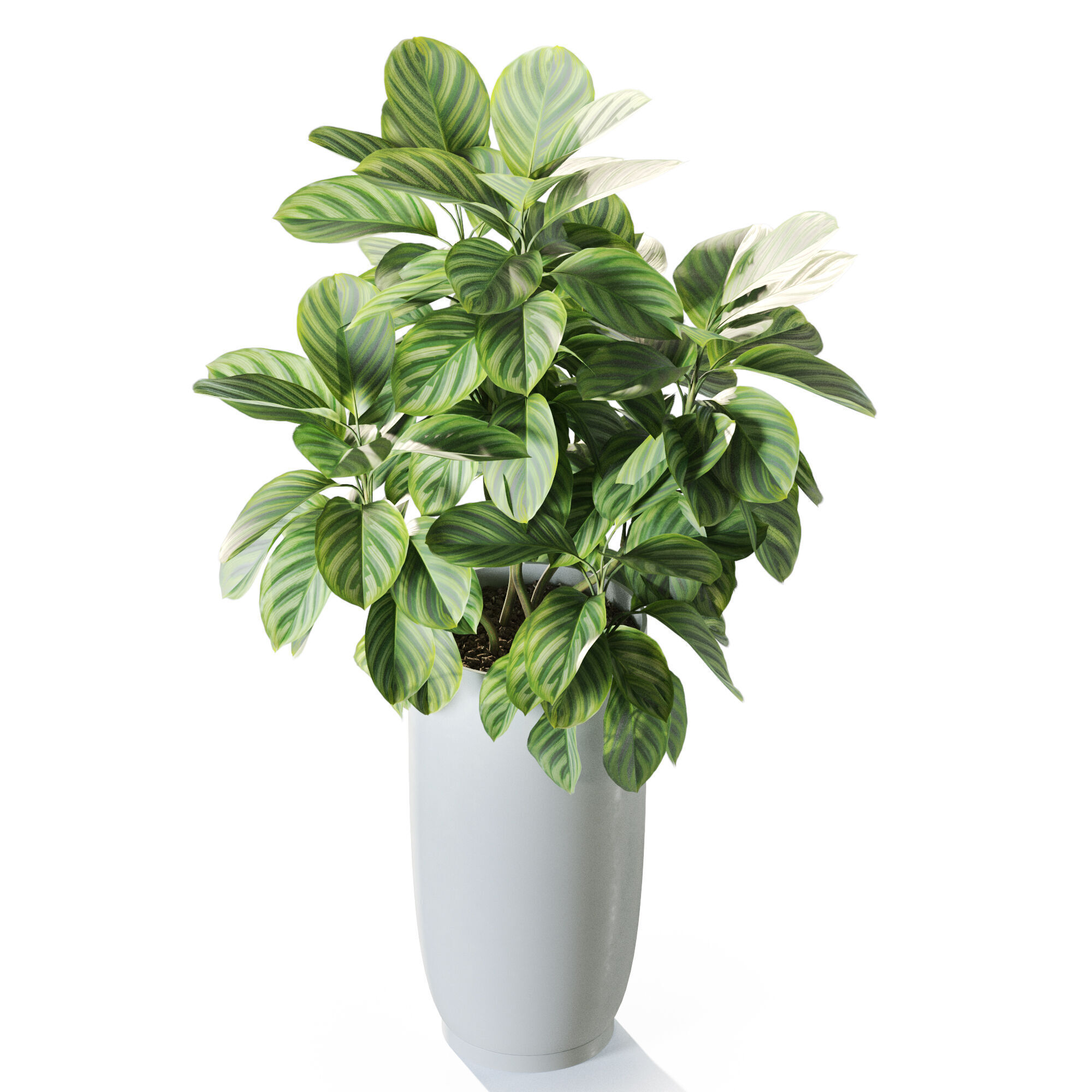 Plant 1235 3D model_3