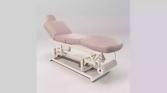 Professional Massage and Spa Table