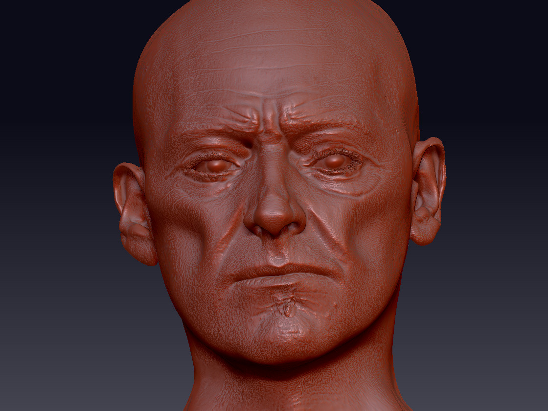Male wizard head sculpt 3D model_1
