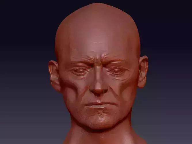 Male wizard head sculpt