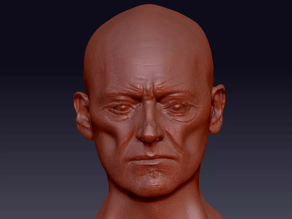 Male wizard head sculpt 3D model_0
