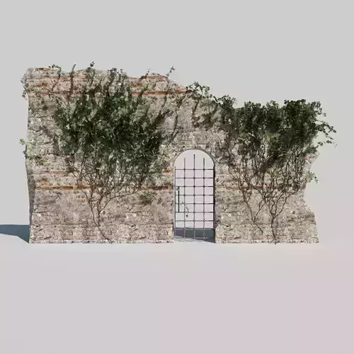 Rustic Stone Facade with Aged Metal Door and Foliage