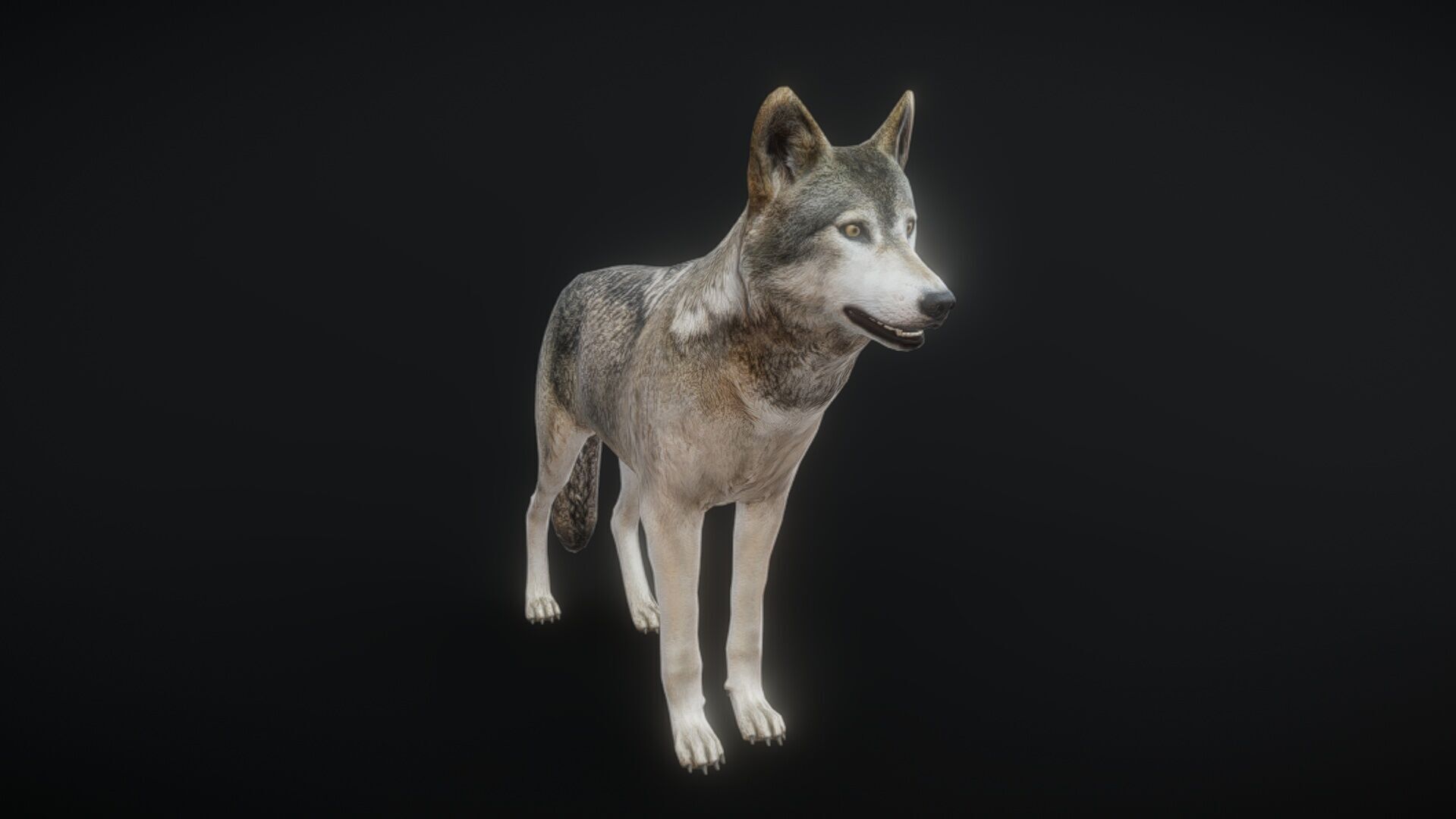 82 complete animated wolf sets Low-poly 3D model_4