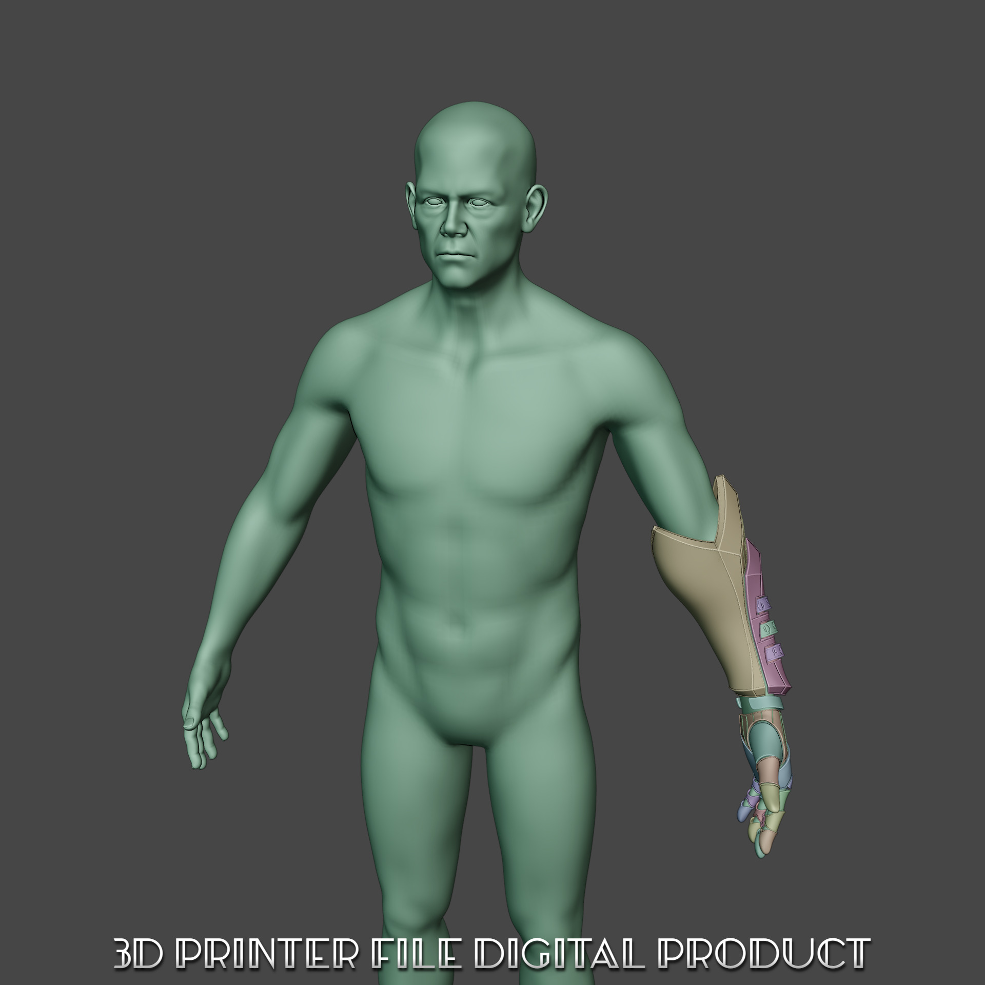 Gustave Wearable Cosplay Arm Clair Obscur Expedition 33 3D print model_9